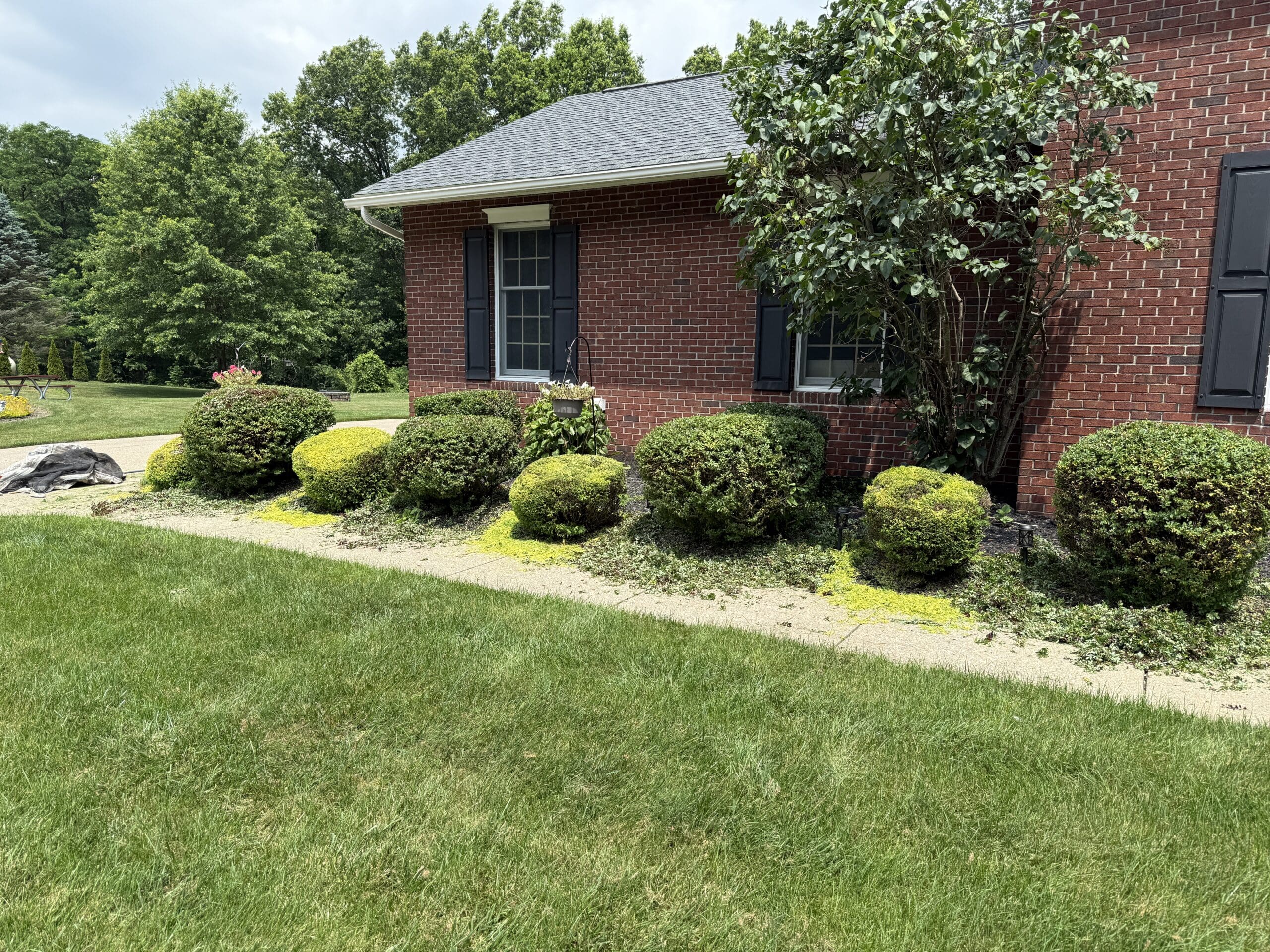 To the side of a brick house, a newly cut lawn can be seen. New landscaping appears along the side of the house, with hedges, bushes, and newly-planted flowers peeking out.